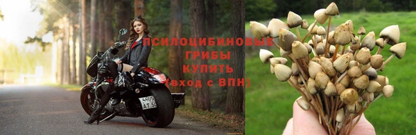 тгк Красноперекопск