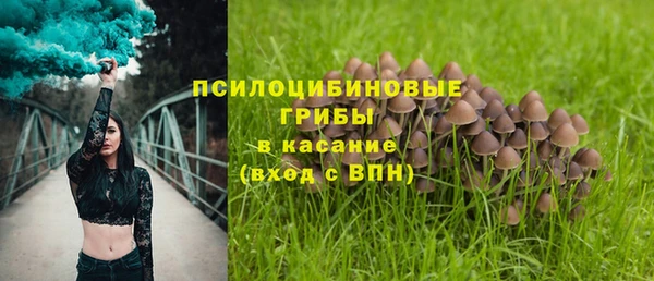 тгк Красноперекопск