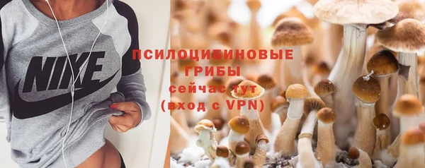 альфа пвп Краснотурьинск