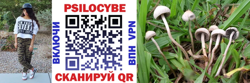 Псилоцибиновые грибы прущие грибы Хасавюрт