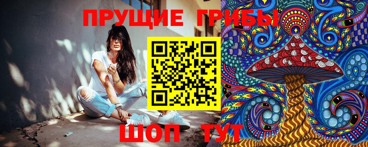 Хасавюрт  Псилоцибиновые грибы прущие грибы  Вход с VPN 